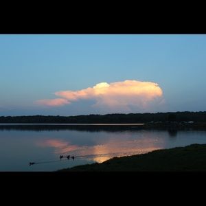 Meet your Posher, Abigail